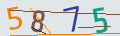 verifycode